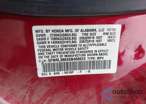 2006 Honda Odyssey Ex-L z USA, uszkodzony, nr VIN 5FNRL386X6B408623